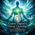 Transformative Digestive Energy Session for Holistic Wellness